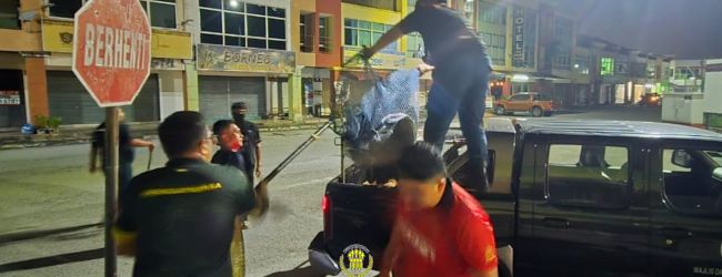 OPERASI TANGKAPAN ANJING LIAR DI SEKITAR SERI ISKANDAR